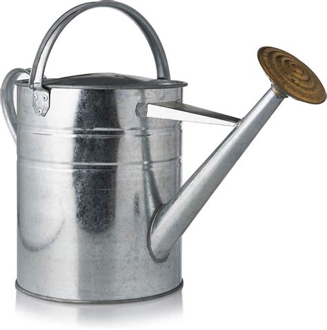 metal house plant watering can|2 gallon galvanized watering can.